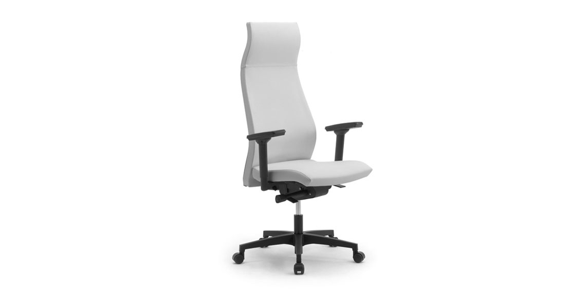 ACAZA Chaise de Bureau Confortable et Robuste, Design Ergonomique,  Inclinable