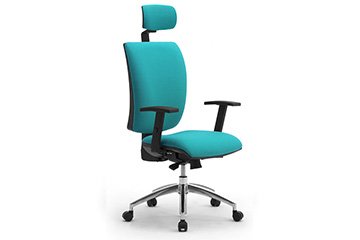 Fauteuil de bureau ergonomique Sprint X